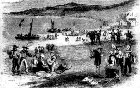 SCENE DURING THE RUSH TO THE GOLD MINES FROM SAN FRANCISCO IN 1848