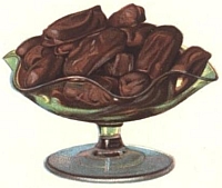 Chocolate Nougatines.