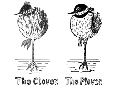 The Clover. The Plover.