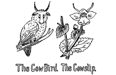 The Cow Bird. The Cowslip.