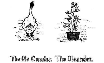The Ole Gander. The Oleander.