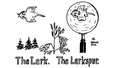 The Lark. The Larkspur.