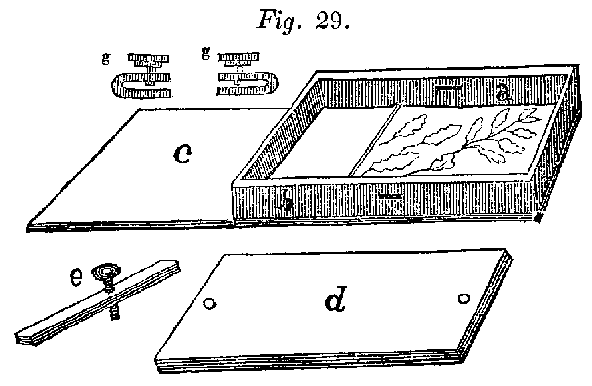 Fig. 29 (HIPHO_29.GIF)