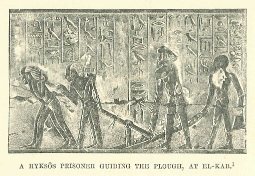 080.jpg a Hykss Prisoner Guiding the Plough, at El-kab 