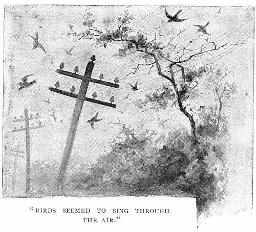 "BIRDS SEEMED TO SING THROUGH THE AIR."