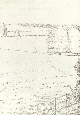 Sketch of fields with trees