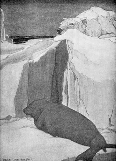 "SOME INEXPERIENCED SEAL HAD BEEN FOOLISH ENOUGH TO LIE BASKING CLOSE BESIDE AN ICE-CAKE"