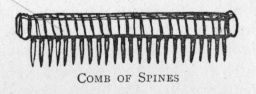 Comb of Spines