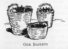 Our Baskets