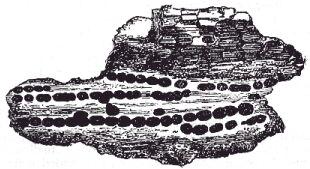 [Illustration:
Opaque brown sphærulites, drawn on an enlarged scale.]