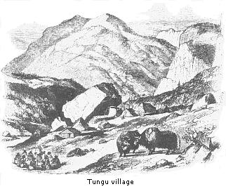 Tungu village