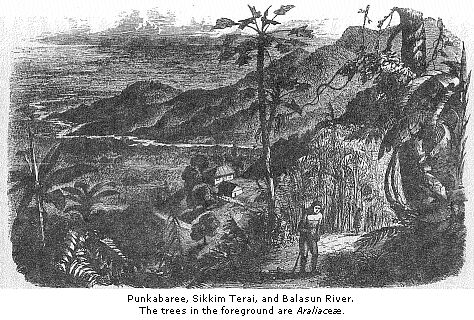 Punkabaree, Sikkim Terai,
and Balasun River.