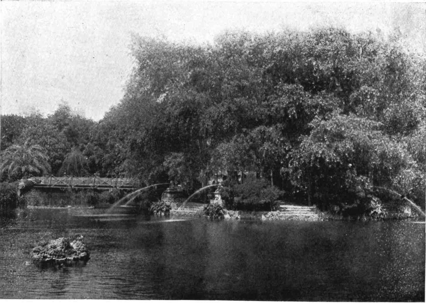 [Image unavailable.]