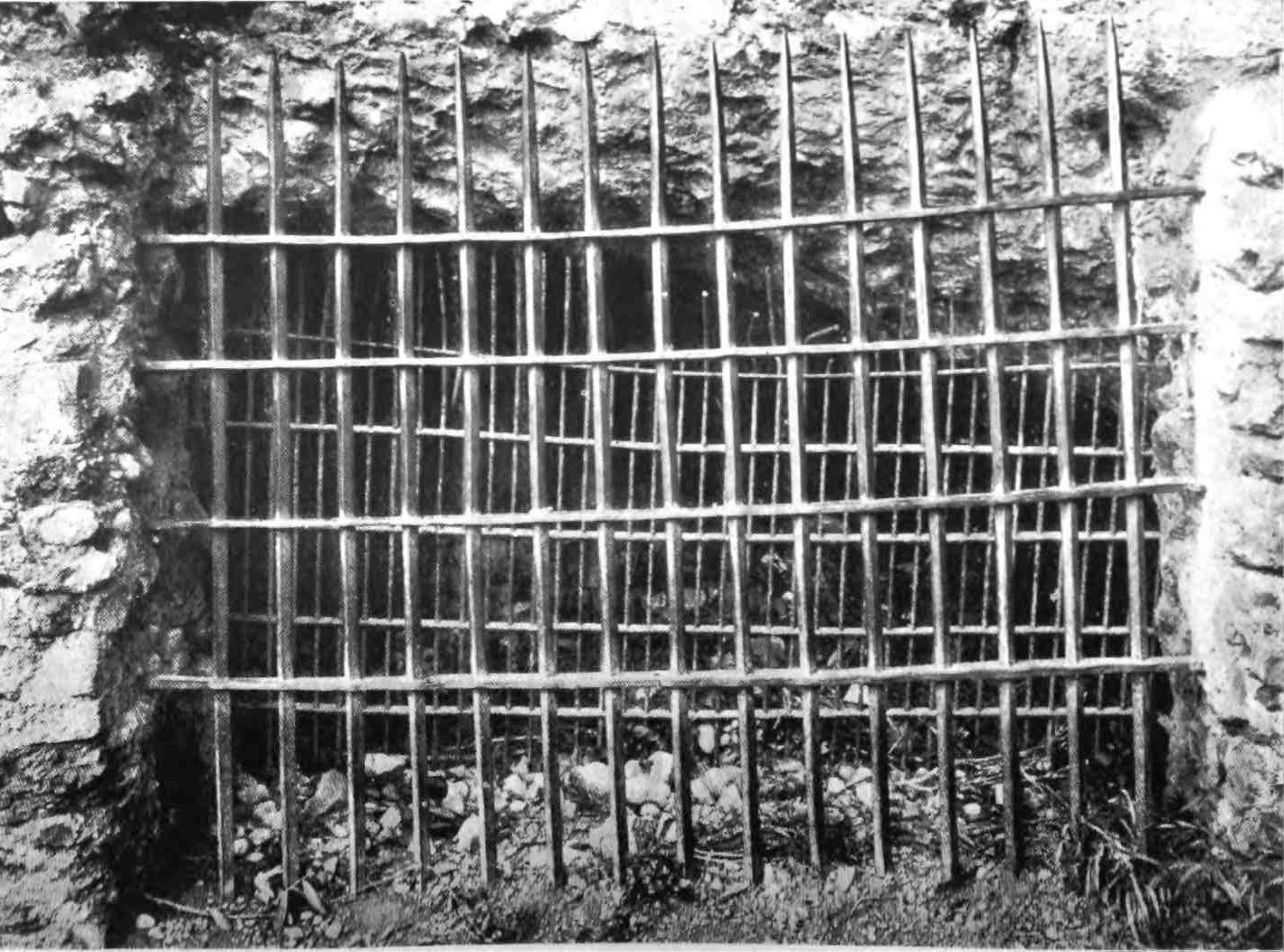 [Image unavailable.]