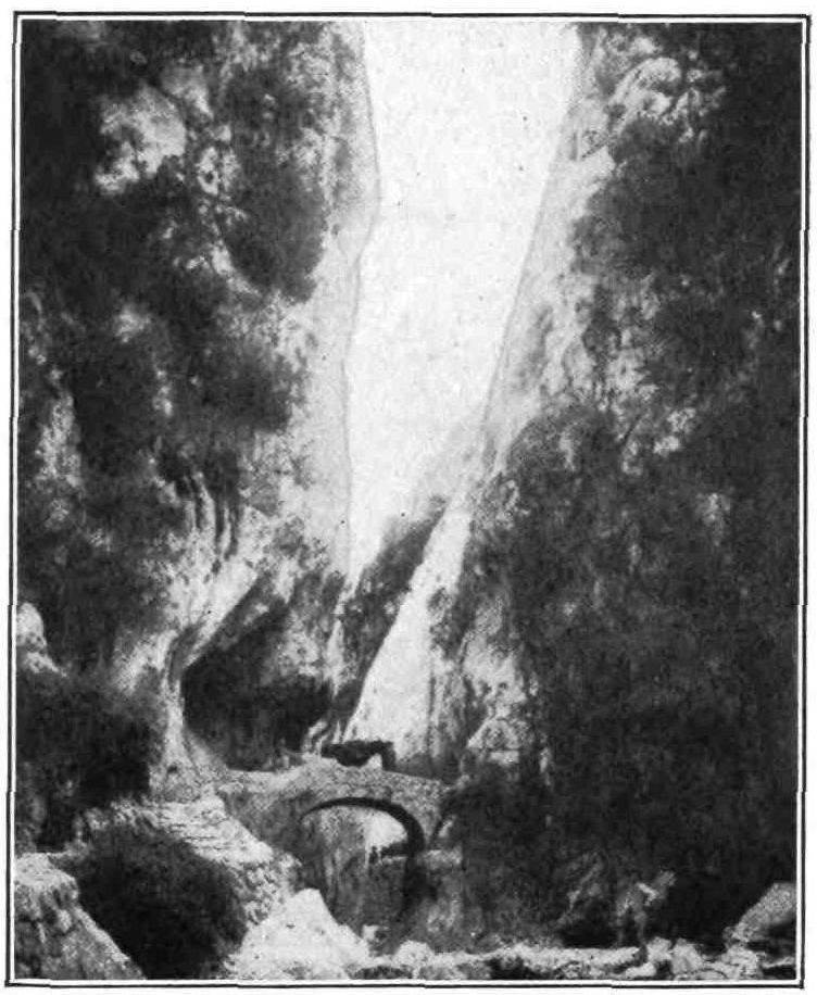 [Image unavailable.]