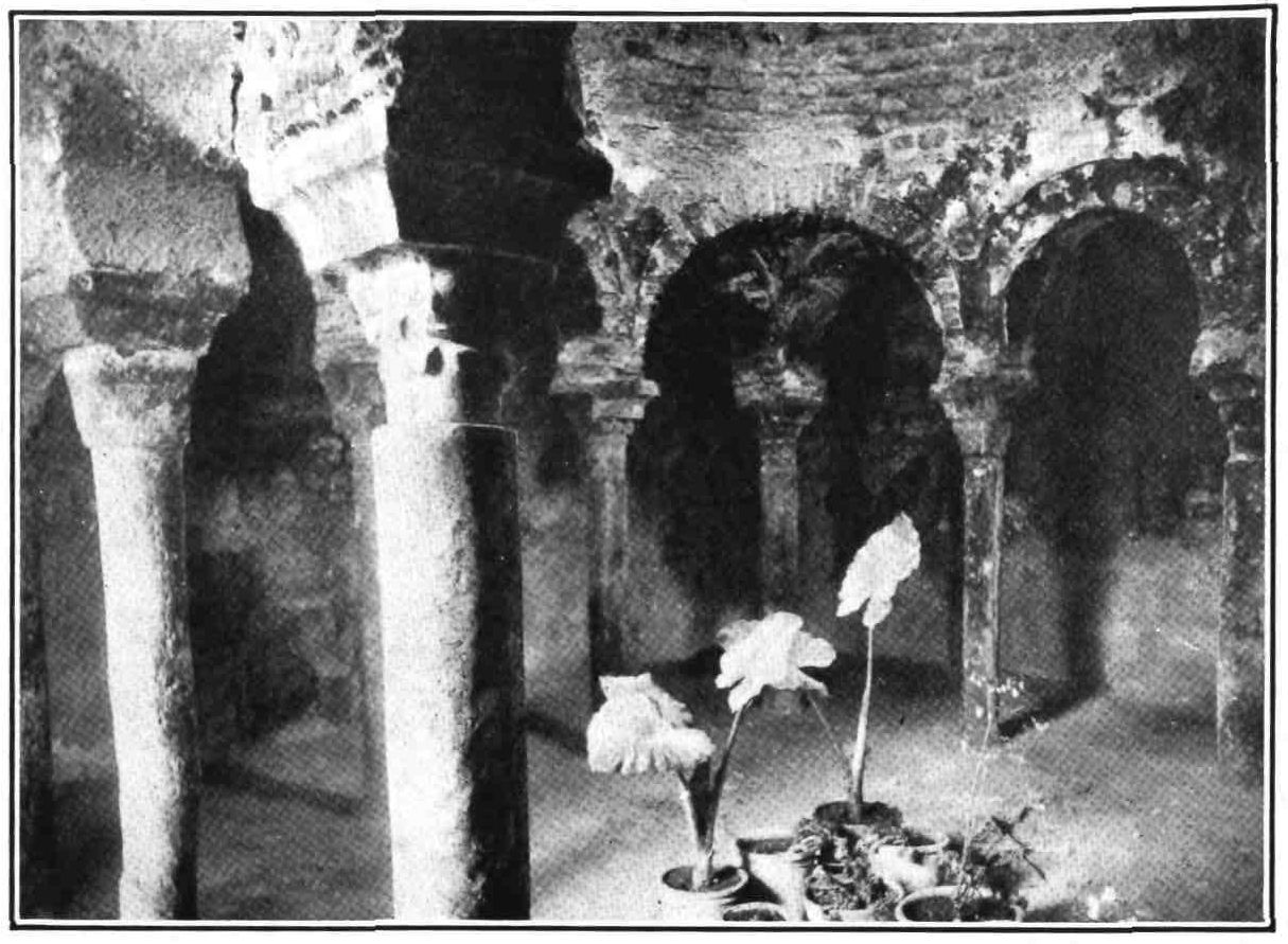 [Image unavailable.]