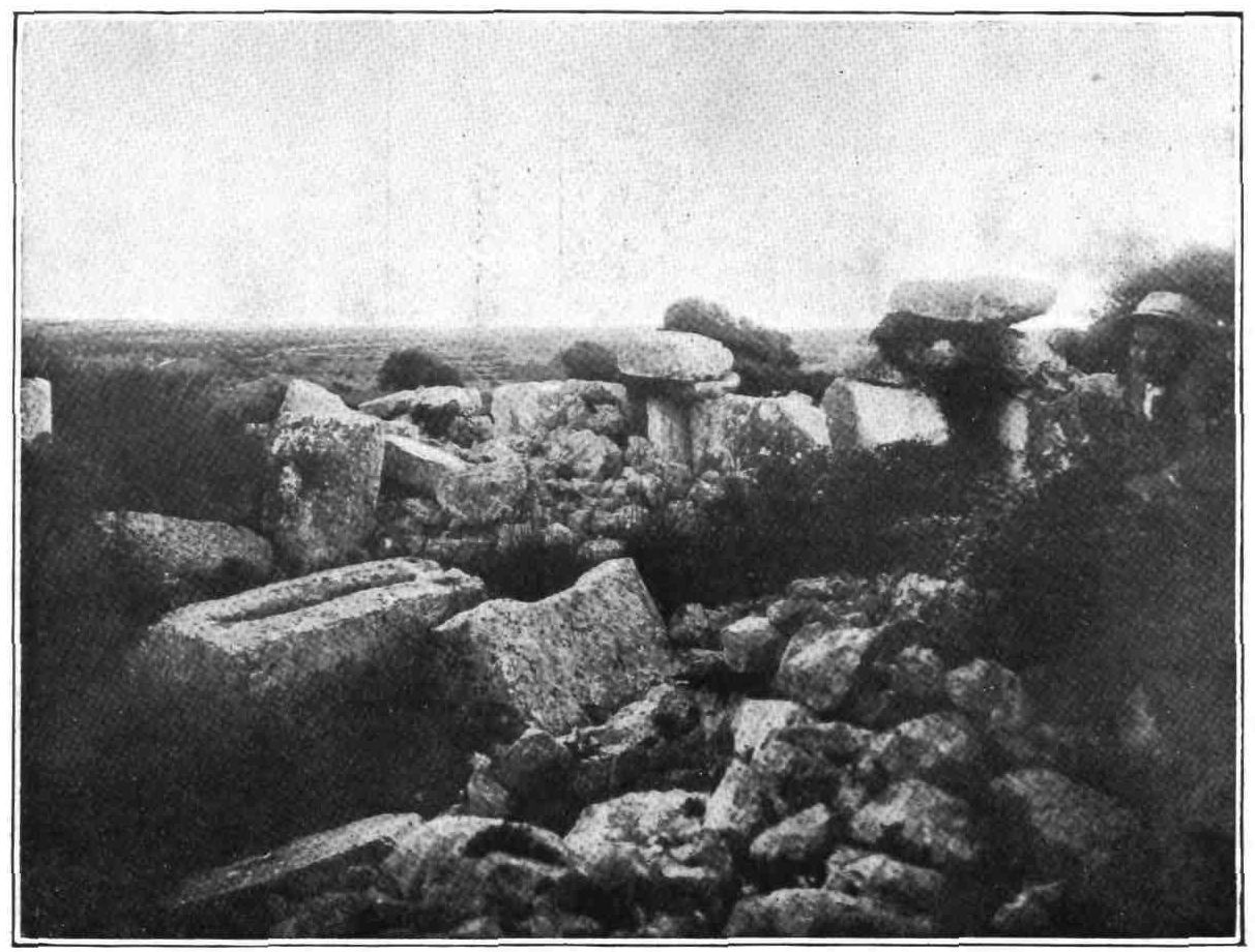 [Image unavailable.]