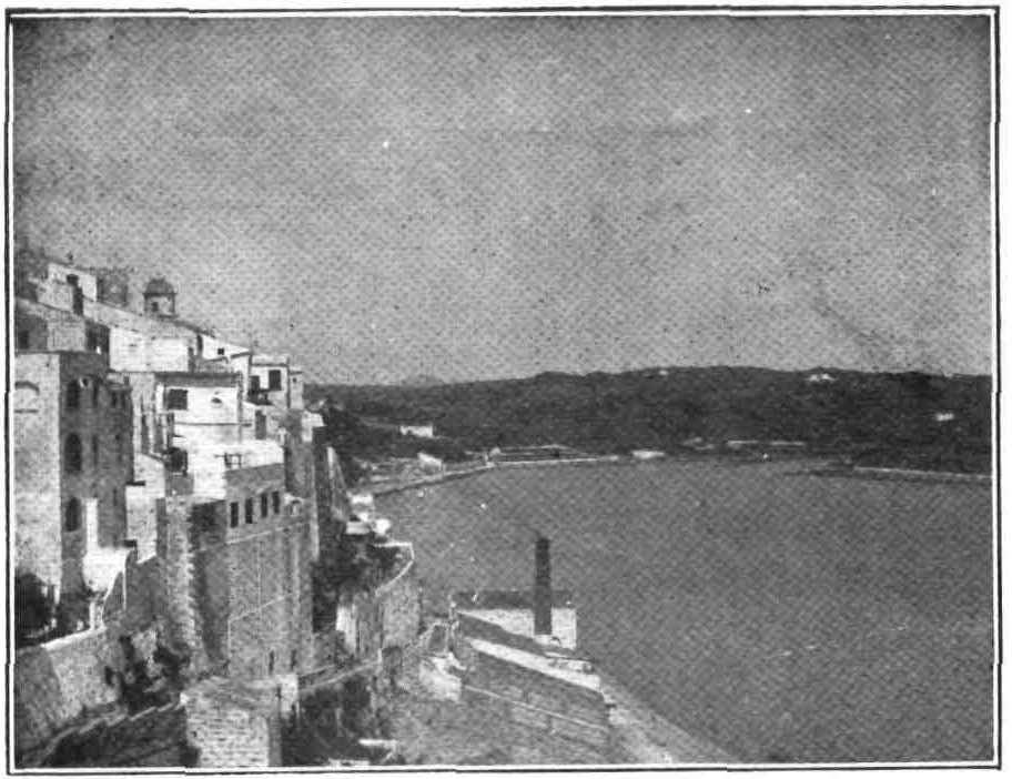 [Image unavailable.]