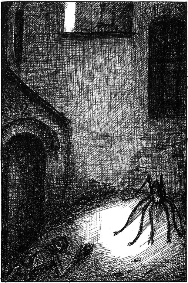 Leichen und unheimliche Tiere
  in den Straßen der Stadt