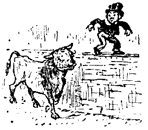 Boy walking on top of a wall with  bull below.