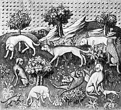 RACHES OR RUNNING HOUNDS IN THE FIFTEENTH CENTURY