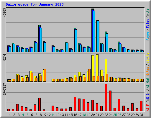 Daily usage for January 2025
