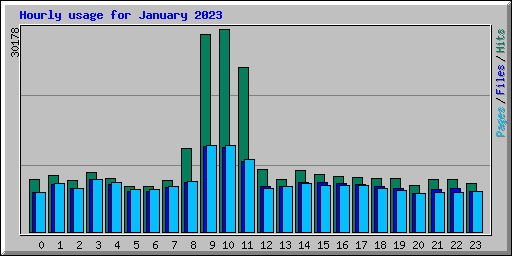 Hourly usage for January 2023