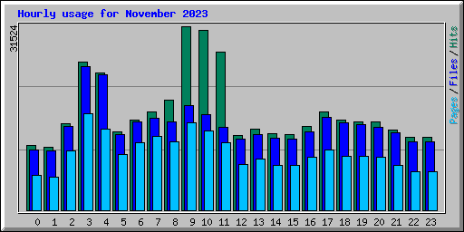 Hourly usage for November 2023
