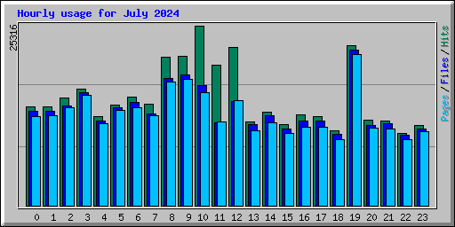 Hourly usage for July 2024