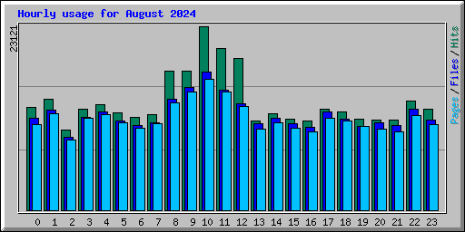 Hourly usage for August 2024