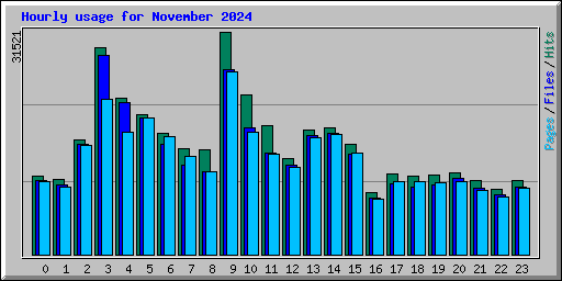 Hourly usage for November 2024