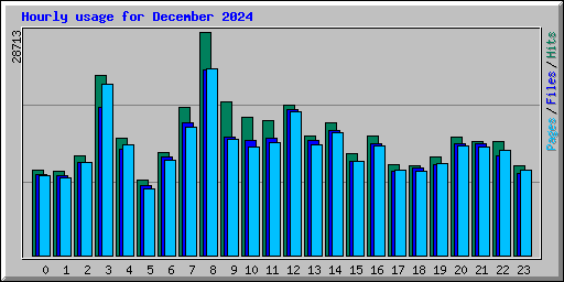 Hourly usage for December 2024