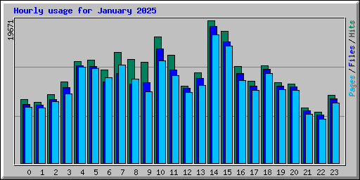 Hourly usage for January 2025