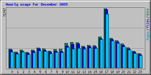 Hourly usage for December 2025