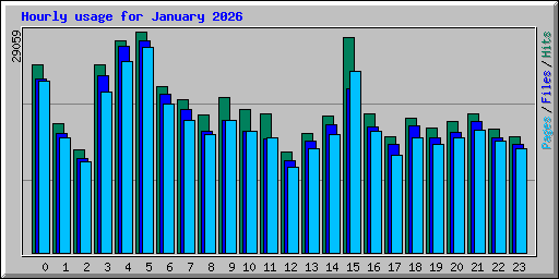Hourly usage for January 2026