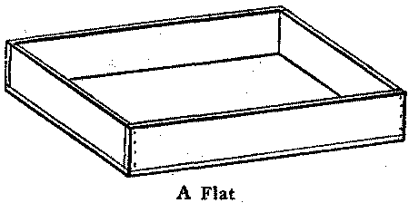 A Flat