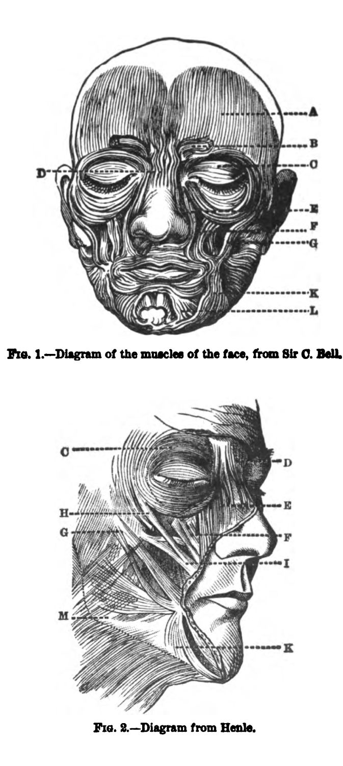Muscles of the Human Face. Fig 1-2 