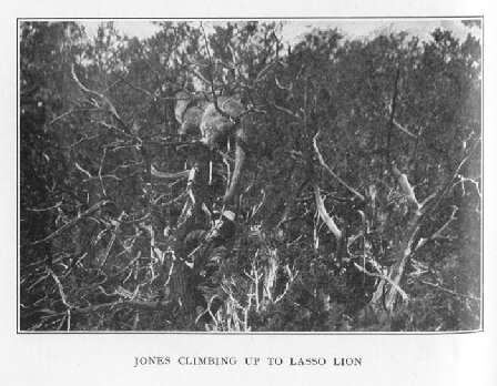 Jones Climbing up to Lasso Lion 