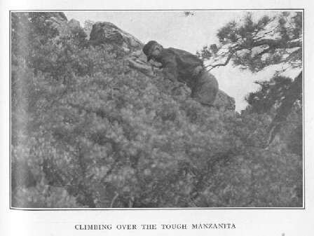 Climbing over the Tough Manzanita 