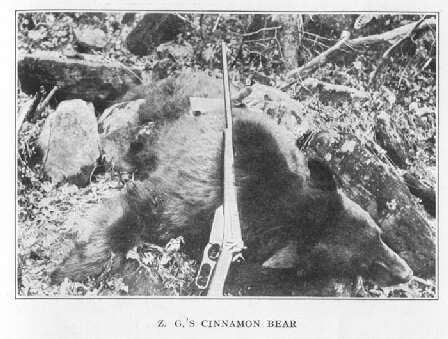 Z.G.'s Cinnamon Bear 