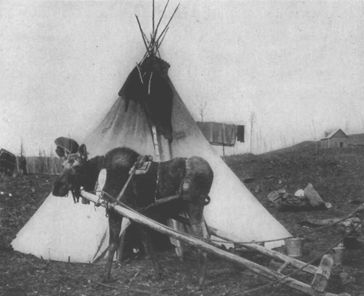 Tepee of a Caribou-Eater Indian