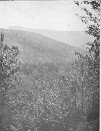 A Distant View of Slide Mountain
The Highest of the Catskills (page 155)
