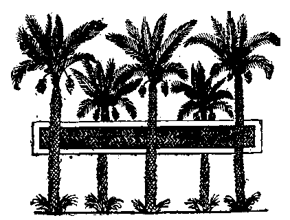 Fig 174.--Pond and palm-trees, from wall painting in
tomb of Rekhmara, Eighteenth Dynasty.