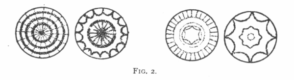 FIG. 2. FORMS PRODUCED IN SOUND