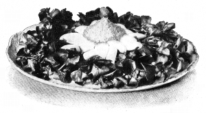 Marguerite Salad.