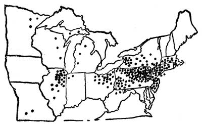 Slav Distribution in the United States