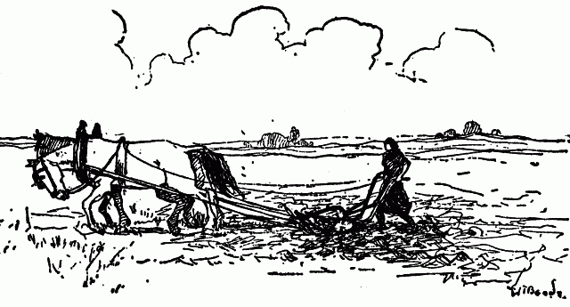Illustration: Ántonia ploughing in the field