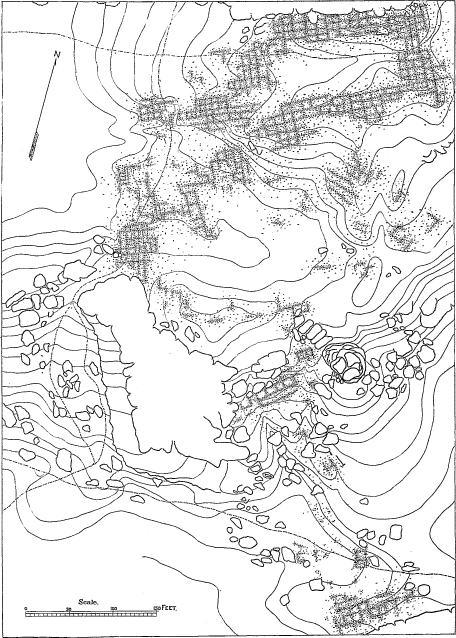 plan of Old Mashongnavi