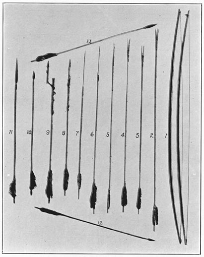 Bows and arrows used by Negritos of Zambales.
