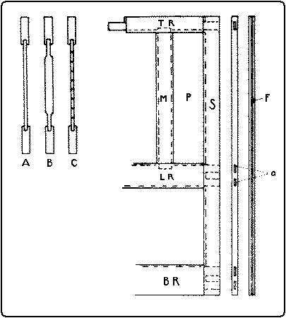 Fig. 288. Door, Illustrating Panel Construction.